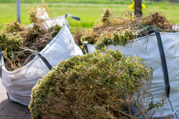 Best Trash Removal Near Me  in Windsor, PA